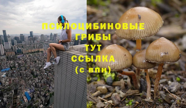 амф Абинск