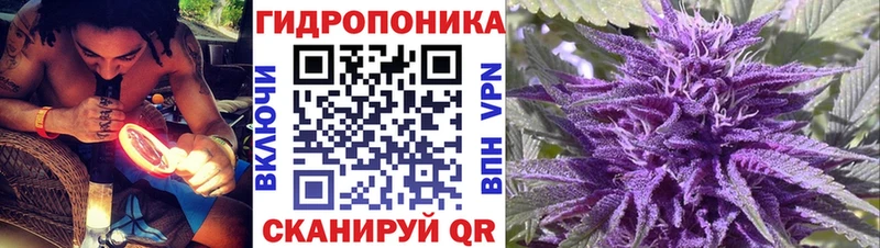 Канабис марихуана  купить закладку  Ивантеевка 